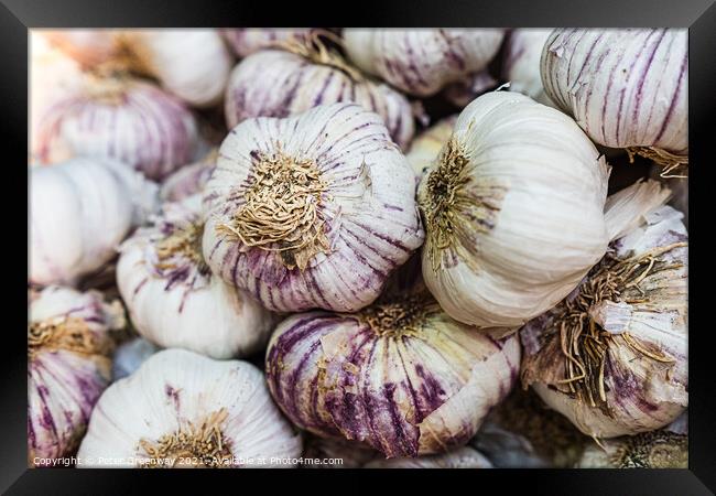 Boxes Of Fresh Garlic On Sale At Borough Market, London Framed Print by Peter Greenway