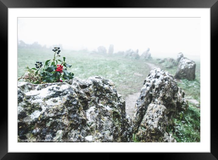 Sprigg Of Holly with Berries On One Of The Standing Stones Framed Mounted Print by Peter Greenway