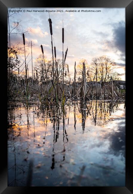 Sunset Reflections Framed Print by Paul Harwood-Browne
