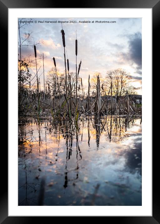Sunset Reflections Framed Mounted Print by Paul Harwood-Browne