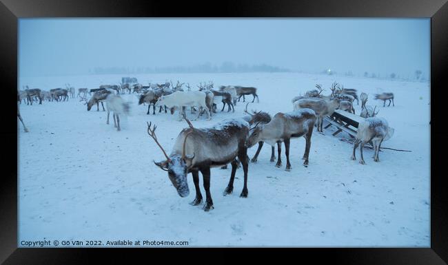 Reindeer Framed Print by Gö Vān