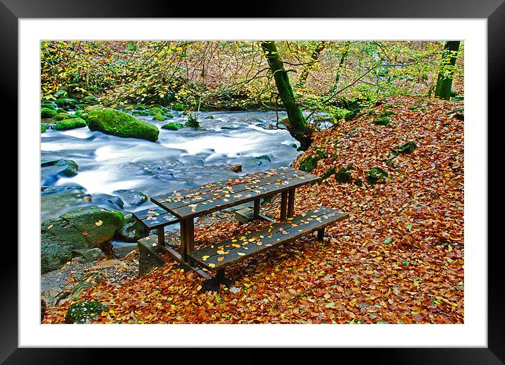 Autumn Leaves Framed Mounted Print by Gö Vān