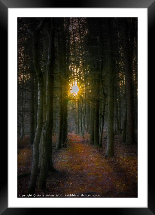 Woodland Sun Framed Mounted Print by Martin Yiannoullou