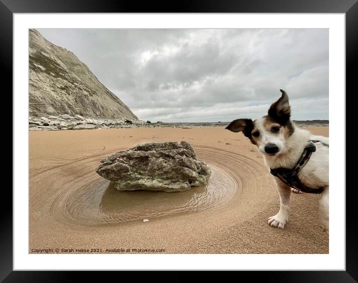 Everyone Loves The Beach Framed Mounted Print by Sarah Hesse