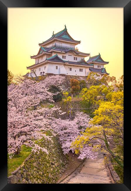 Wakayama castle during cherry-blossom Sakura season, Japan Framed Print by Mirko Kuzmanovic