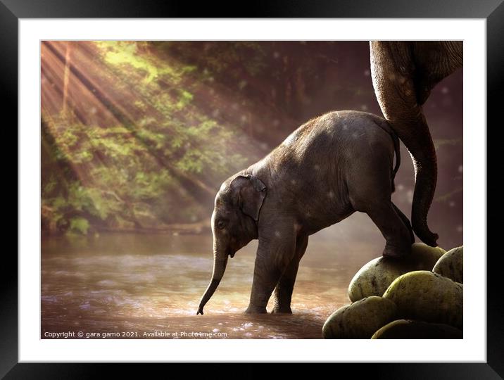 A baby elephant Framed Mounted Print by gara gamo