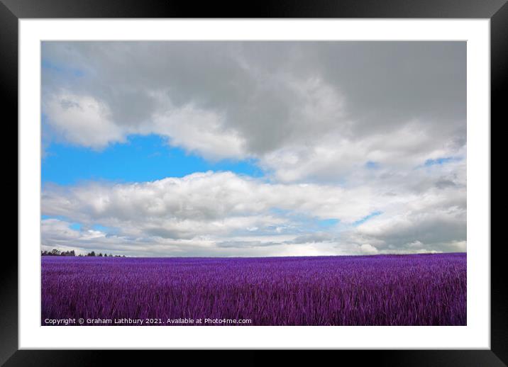 Cotswolds Field Framed Mounted Print by Graham Lathbury