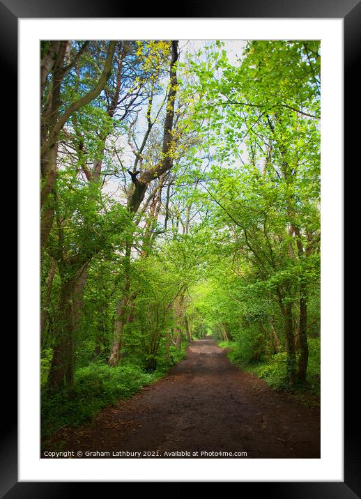 A forest track Framed Mounted Print by Graham Lathbury
