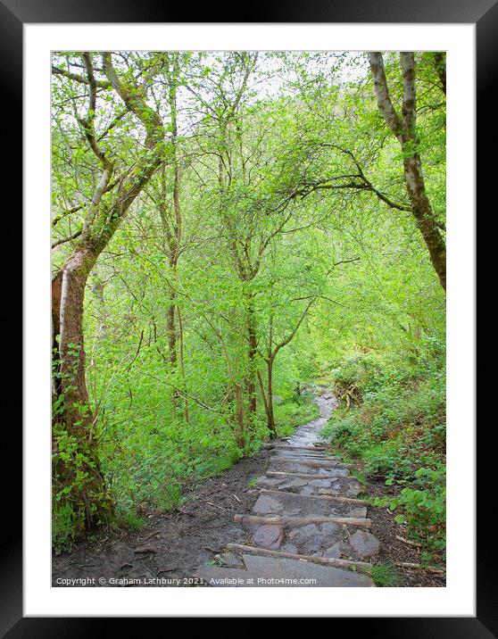 Forest Path, Brecon Beacons Framed Mounted Print by Graham Lathbury