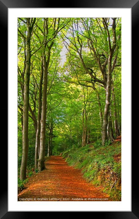 Cotswolds Forest Bridleway Framed Mounted Print by Graham Lathbury