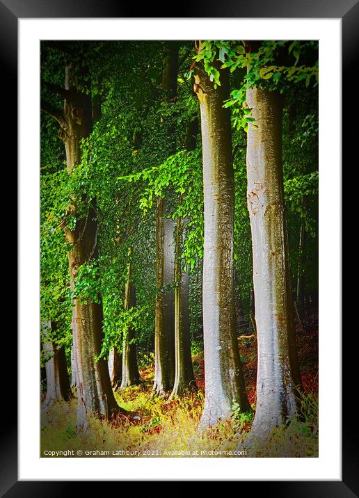 Cotswolds Trees Framed Mounted Print by Graham Lathbury