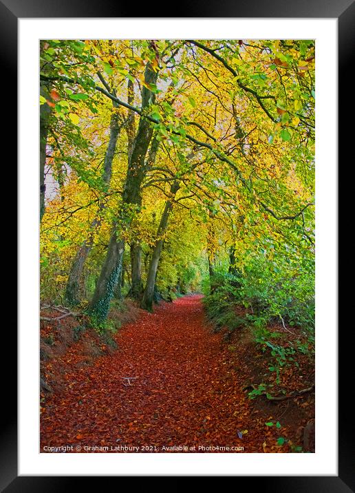 Autumnal Westridge Woods, Cotswolds Framed Mounted Print by Graham Lathbury