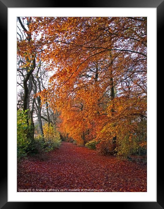 Autumnal Westridge Woods, Cotswolds Framed Mounted Print by Graham Lathbury