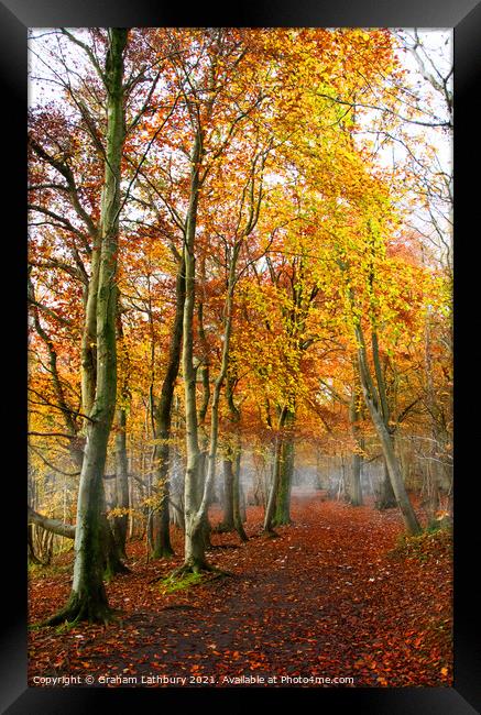 Cotswolds Way, Westridge Woods Framed Print by Graham Lathbury