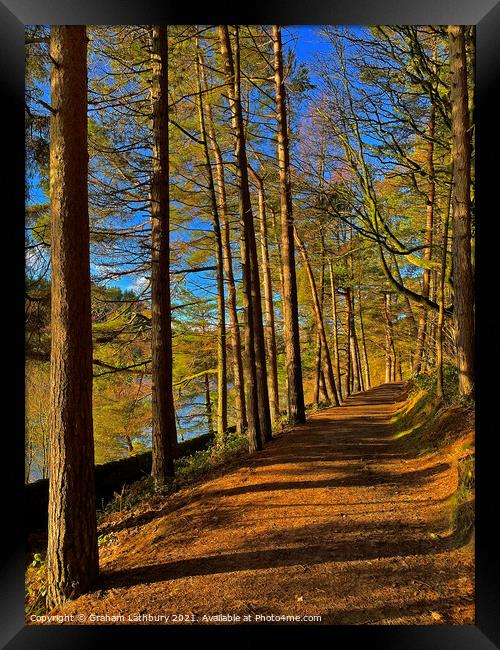 Langsett Reservoir Forest Path, Peak District Framed Print by Graham Lathbury