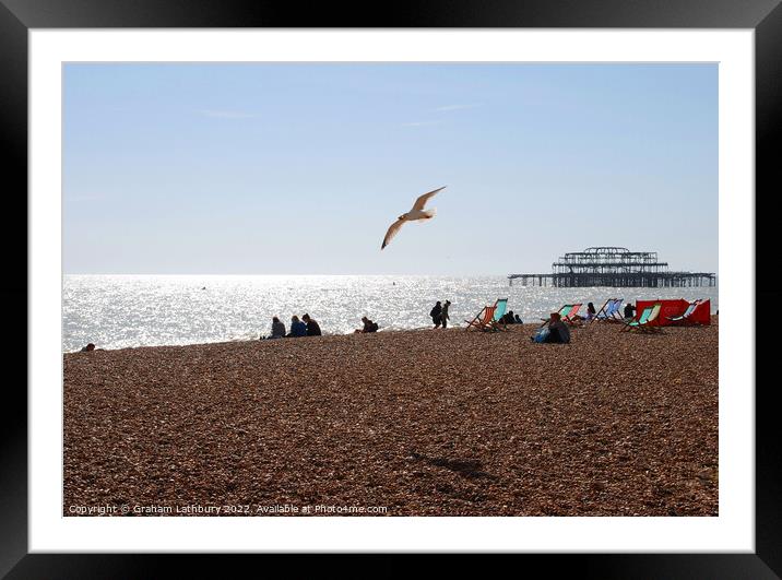 Soaring Seagull on Brighton Beach Framed Mounted Print by Graham Lathbury