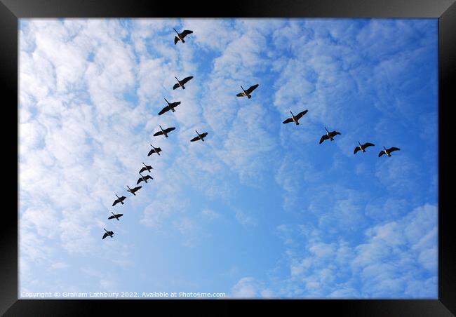 Canada Geese in V formation Framed Print by Graham Lathbury