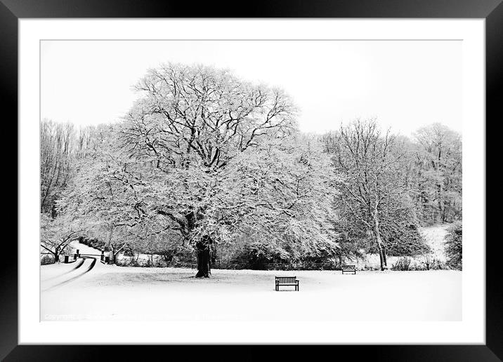 Winter Tree Framed Mounted Print by Graham Lathbury
