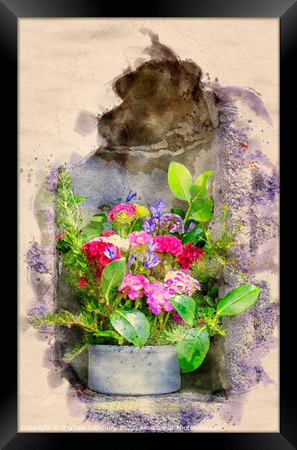 Flower Display - Watercolour Framed Print by Graham Lathbury