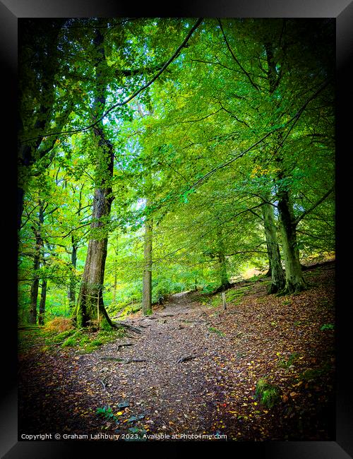 Cotswolds Forest Bridleway Framed Print by Graham Lathbury