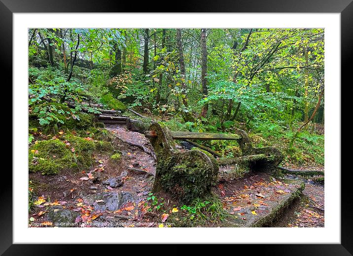 Moss Covered bench Framed Mounted Print by Graham Lathbury