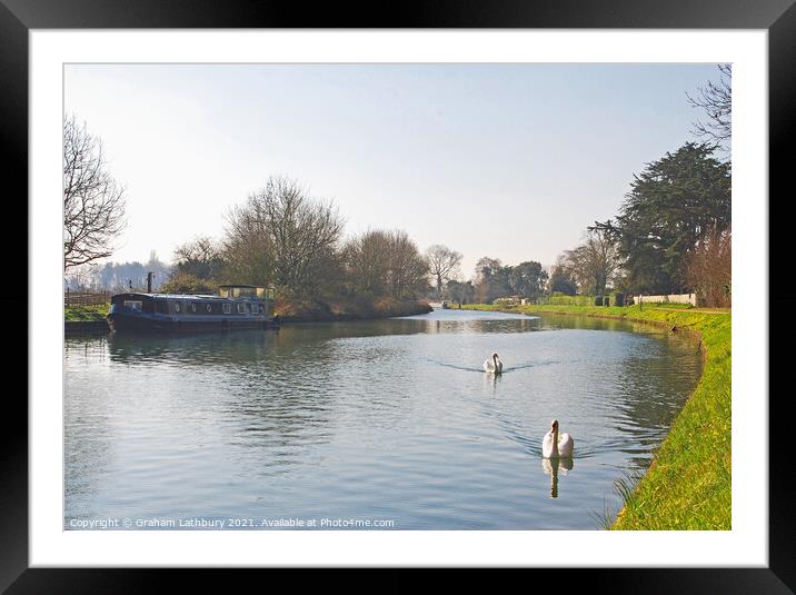 Swans on the Gloucester & Sharpness Canal, Frampton Framed Mounted Print by Graham Lathbury