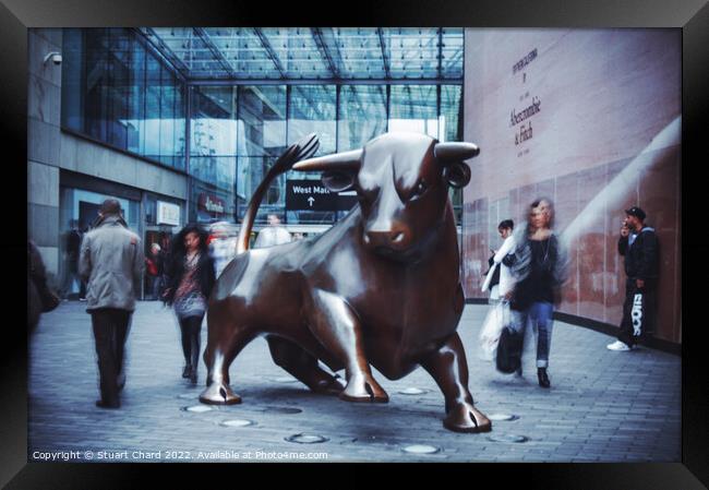 Birmingham Bull sculpture Framed Print by Stuart Chard