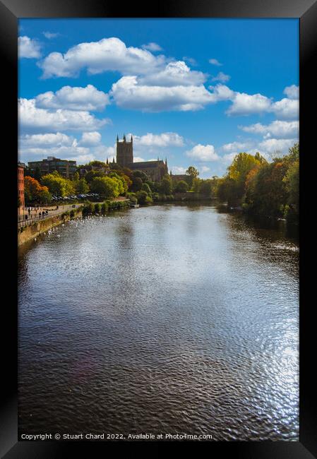 Worcester Cathedral on the River severn Framed Print by Stuart Chard
