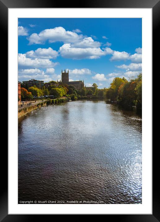 Worcester Cathedral on the River severn Framed Mounted Print by Stuart Chard