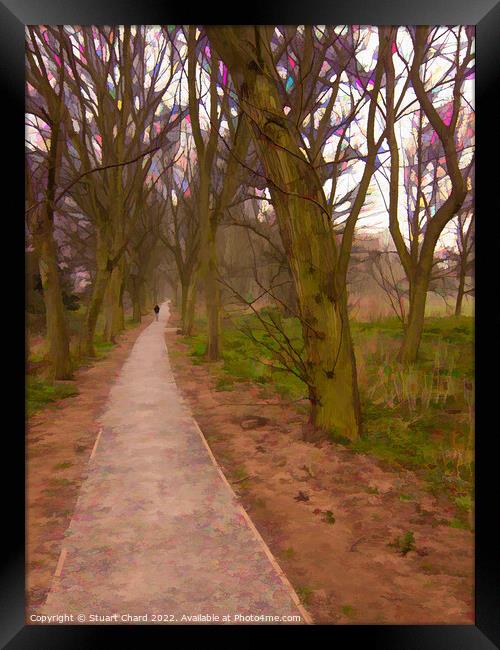 Woodland Path Lichfield Framed Print by Stuart Chard