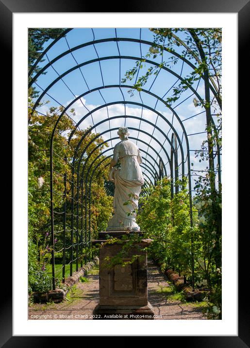 Trentham Gardens Statue Framed Mounted Print by Stuart Chard