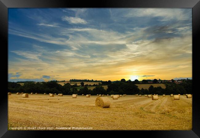 Hay bales and English countryside sunset Framed Print by Stuart Chard