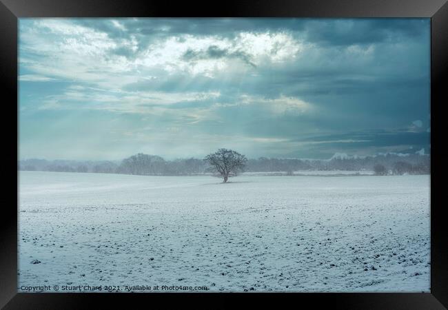 Lone tree in a snow covered landscape Framed Print by Stuart Chard