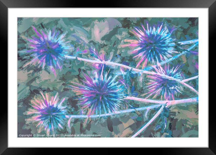 Milk Thistle abstract artwork Framed Mounted Print by Stuart Chard