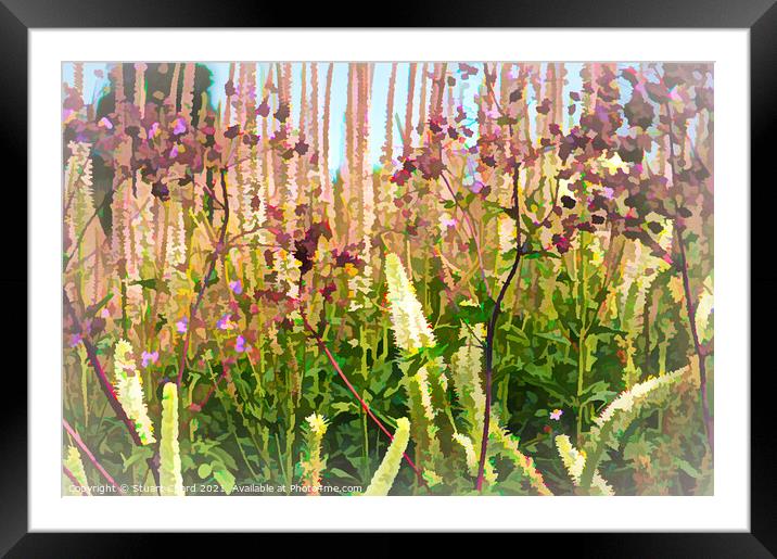 woodland flowers artwork Framed Mounted Print by Stuart Chard