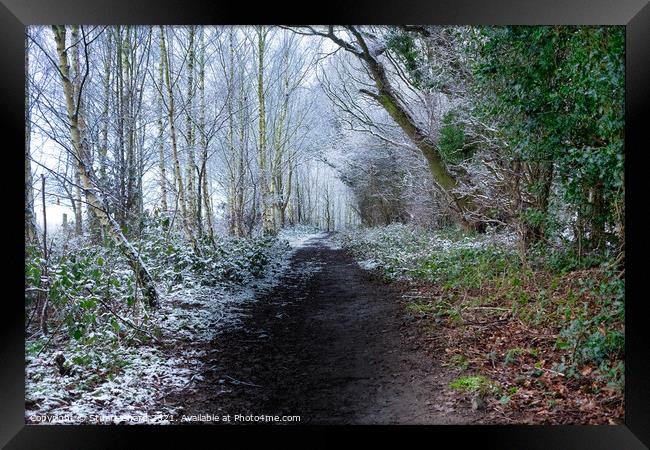 Forest path in winter Framed Print by Stuart Chard