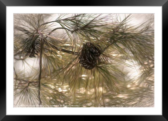 Pine cones and branches artwork Framed Mounted Print by Stuart Chard