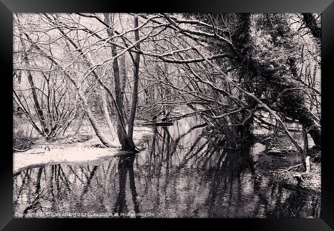 Winter trees in water Framed Print by Stuart Chard