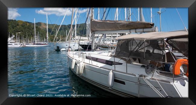 Yachts moored in a marina Framed Print by Stuart Chard