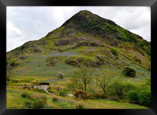 Bluebells on slope of Rannerdale Knotts in the Lak Framed Print by Peter Wiseman