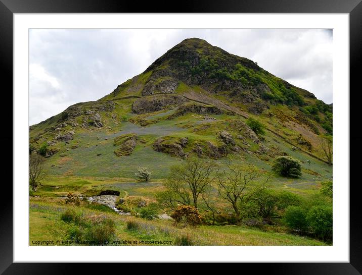 Bluebells on slope of Rannerdale Knotts in the Lak Framed Mounted Print by Peter Wiseman