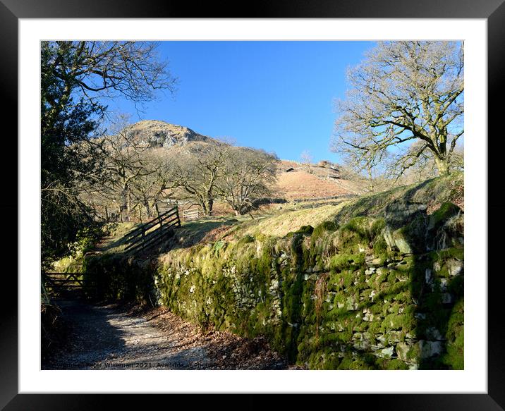 The Coffin Road from Grasmere to Rydal Water Framed Mounted Print by Peter Wiseman