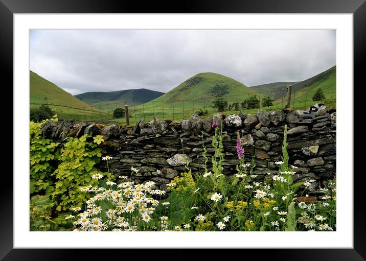 Lake District Garden Framed Mounted Print by Peter Wiseman