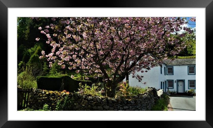  Spring in the Lake District. Framed Mounted Print by Peter Wiseman