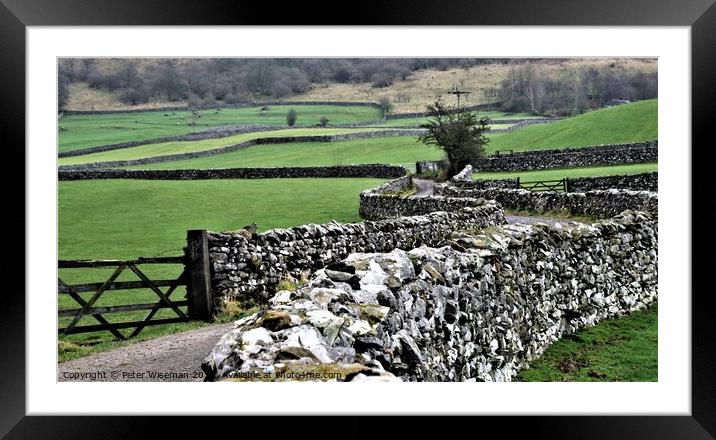 Dry stone walls Yorkshire Dales Framed Mounted Print by Peter Wiseman