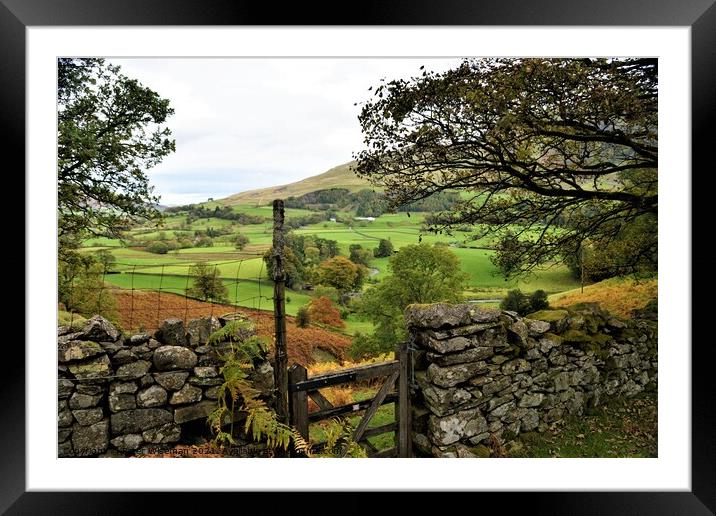 View over St. John's in the Vale near Keswick  Framed Mounted Print by Peter Wiseman