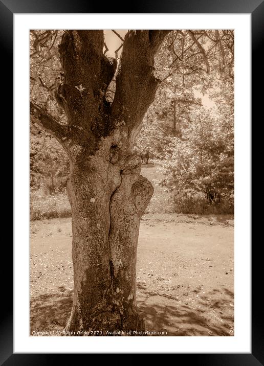 An old Ent Framed Mounted Print by Ralph Greig