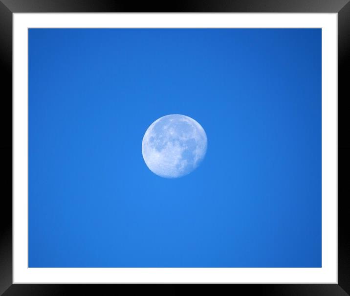 Morning moon  Framed Mounted Print by Roy Hinchliffe