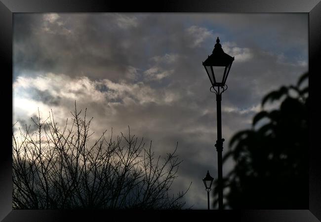 Sky cloud streetlamps and trees Framed Print by Roy Hinchliffe