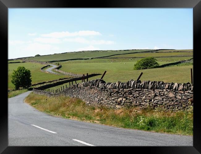 Winding Pennine country road Framed Print by Roy Hinchliffe